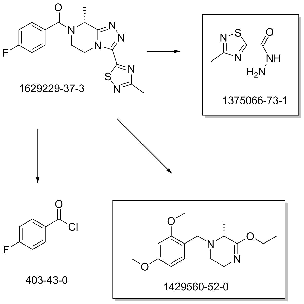 fezolinetant_ROS1.png