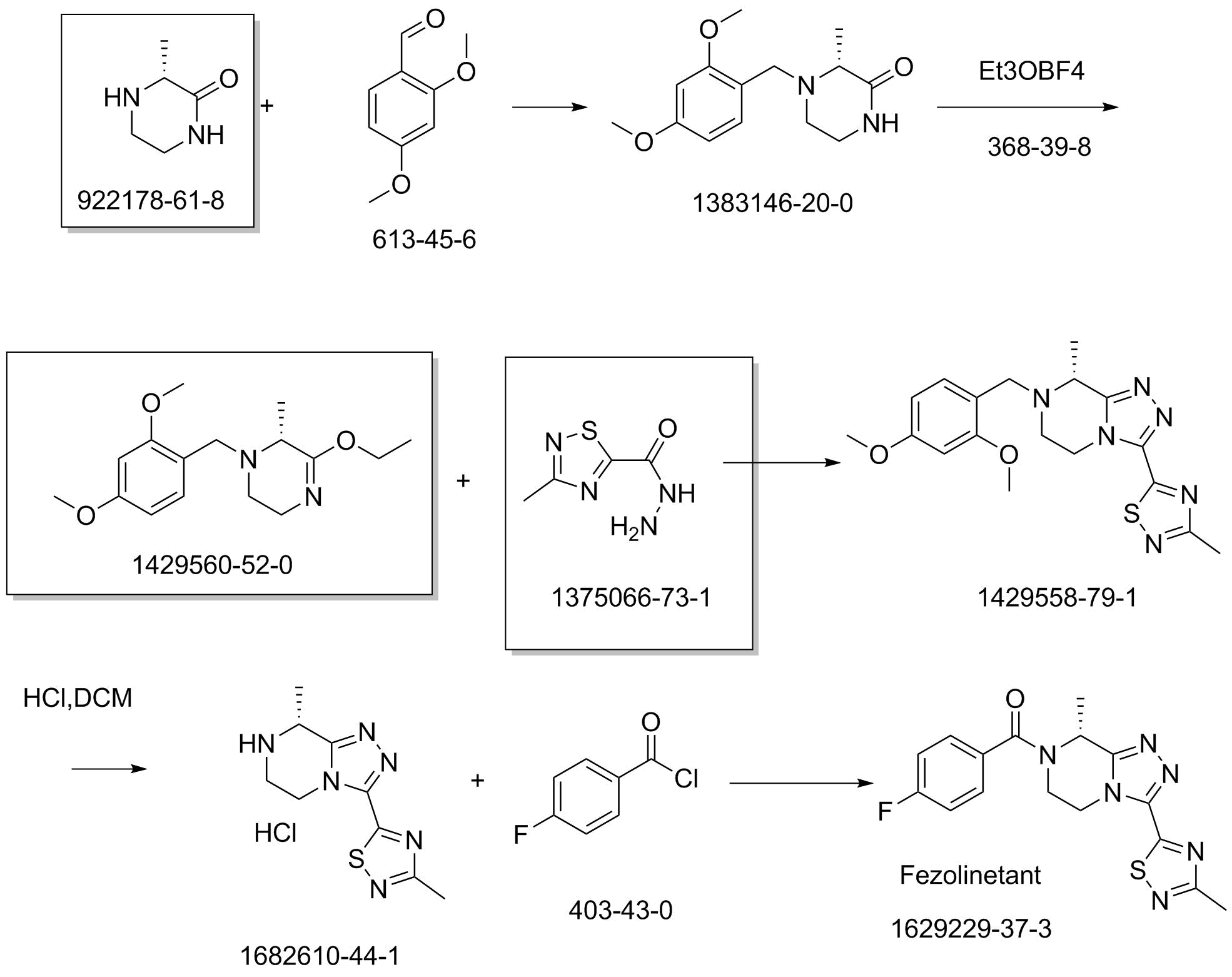 fezolinetant_ROS2.png